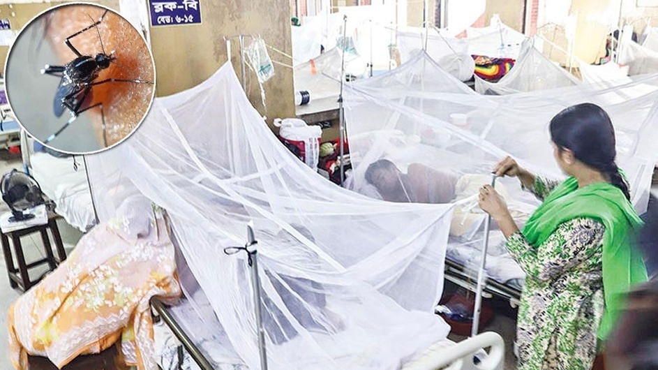 ডেঙ্গুতে একদিনে আরও ৫ মৃত্যু, হাসপাতালে ৬২২