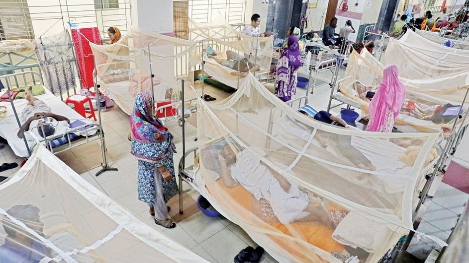 ডেঙ্গুতে এক দিনে ৪ জনের মৃত্যু, হাসপাতালে ভর্তি ৯৪২