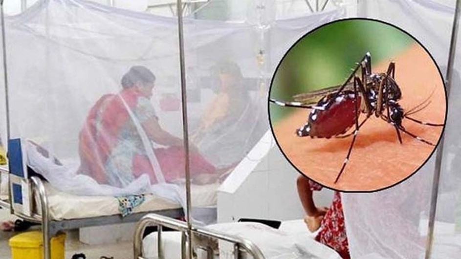 ডেঙ্গুতে একদিনে ৮ মৃত্যু, হাসপাতালে ৭৭৮