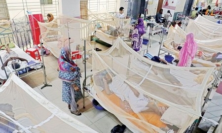 ডেঙ্গুতে এক দিনে ৪ জনের মৃত্যু, হাসপাতালে ভর্তি ৯৪২