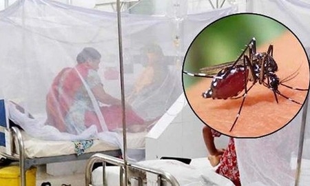 ডেঙ্গুতে একদিনে ৮ মৃত্যু, হাসপাতালে ৭৭৮